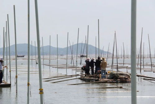 獲批國(guó)家級(jí)