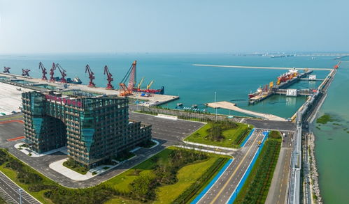 工業(yè)園區(qū)里辦馬拉松,連云港這個(gè)新區(qū)自信何來(lái)